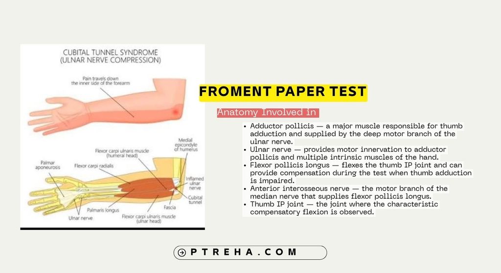 Froment Paper Test Froment Paper Test