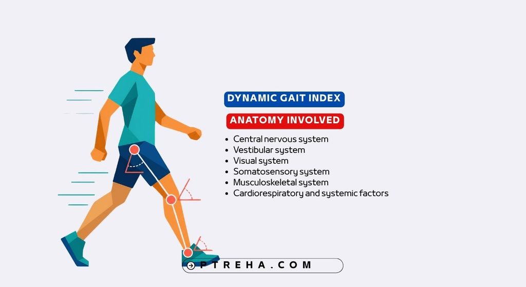 Dynamic Gait Index