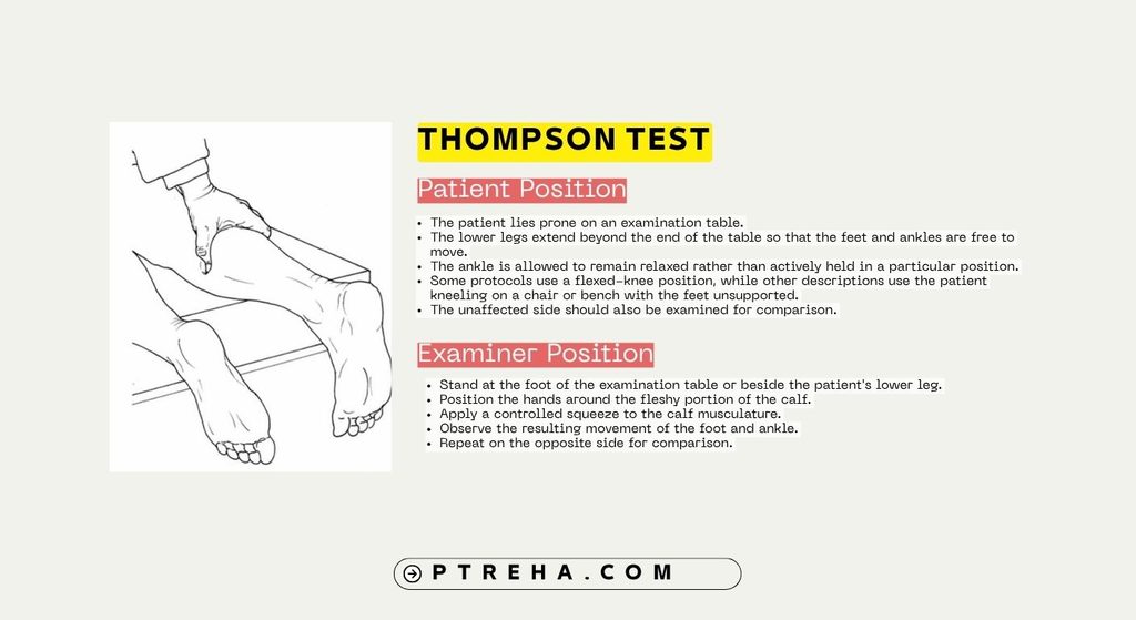 Thompson Test Thompson Test