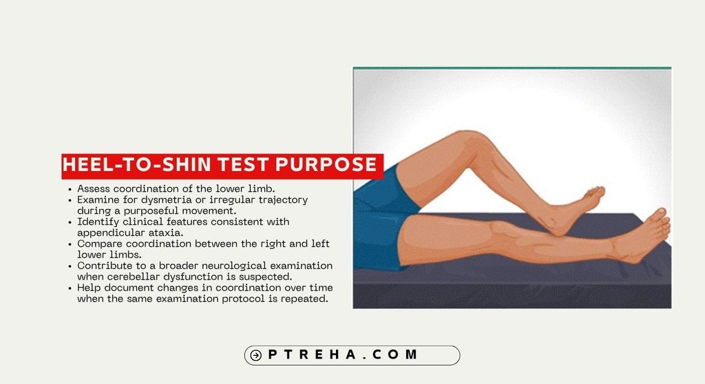 Heel-to-Shin Test Heel-to-Shin Test