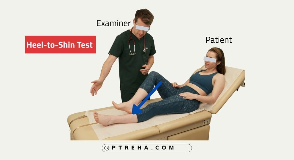 Heel-to-Shin Test Heel-to-Shin Test