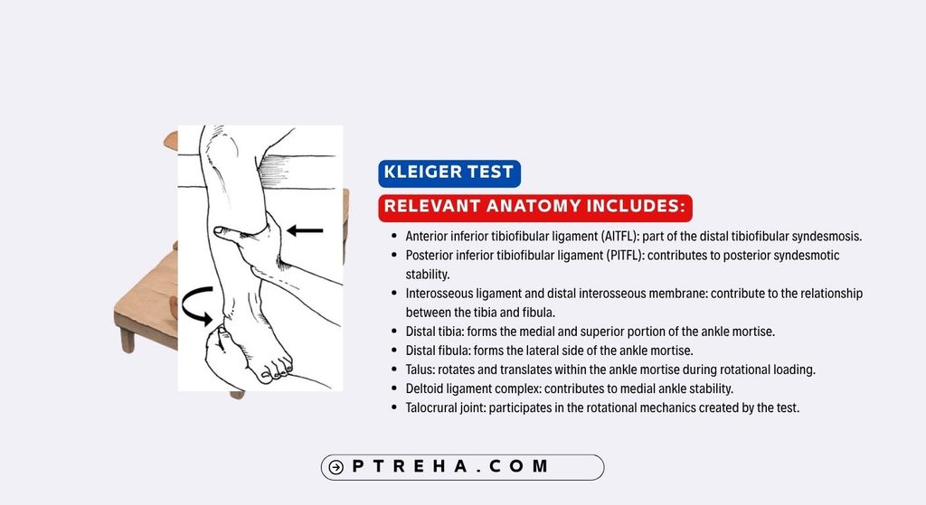 Kleiger Test