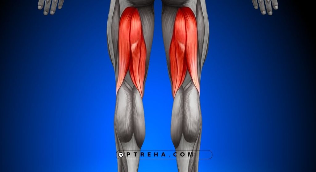 Hamstring strain Hamstring strain