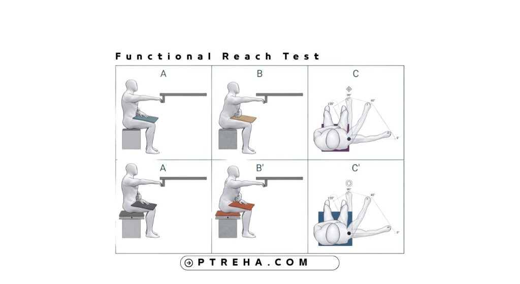 functional reach test functional reach test