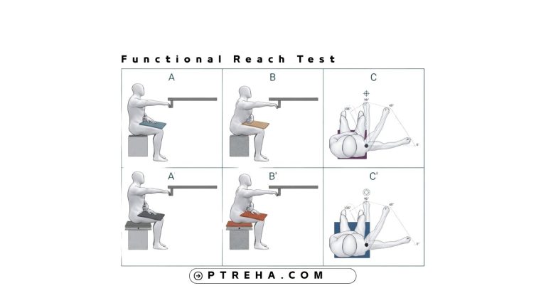 functional reach test