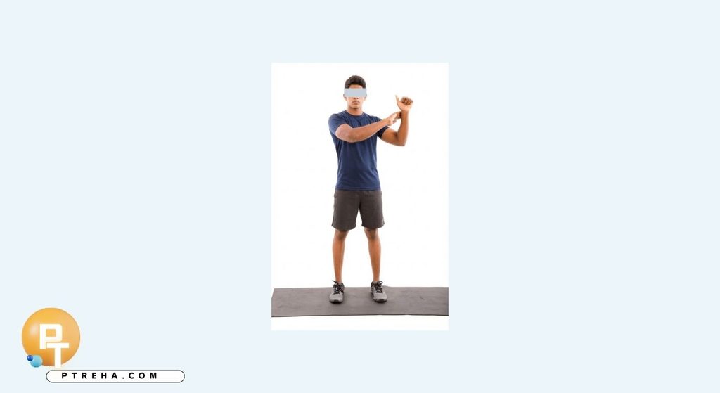 Rotator cuff