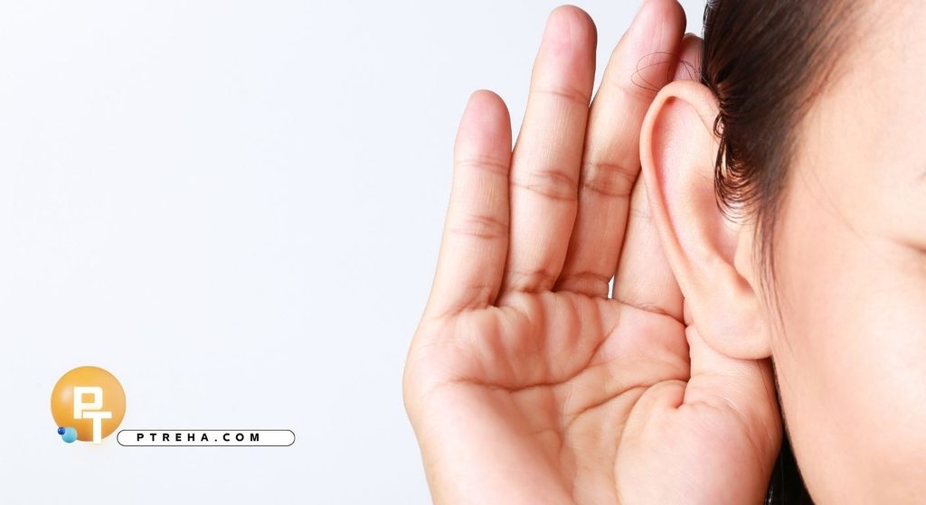 Communication Skills Communication Skills