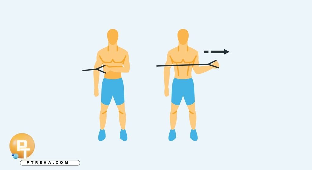 Rotator cuff