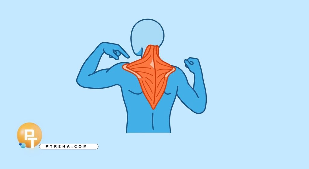 neck pain