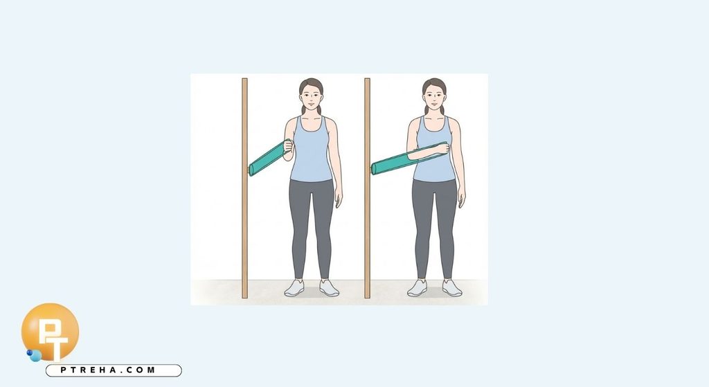Rotator cuff