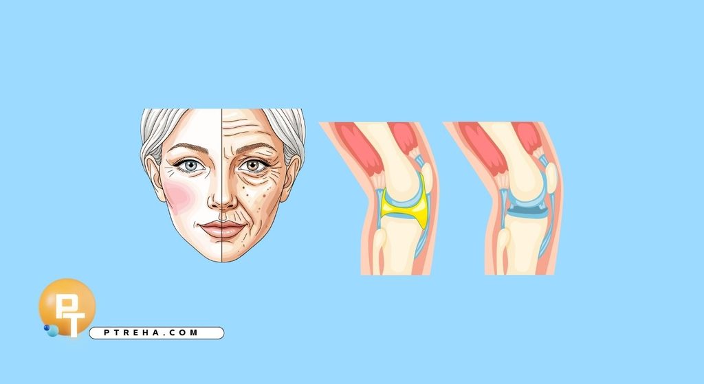 Bilateral Findings