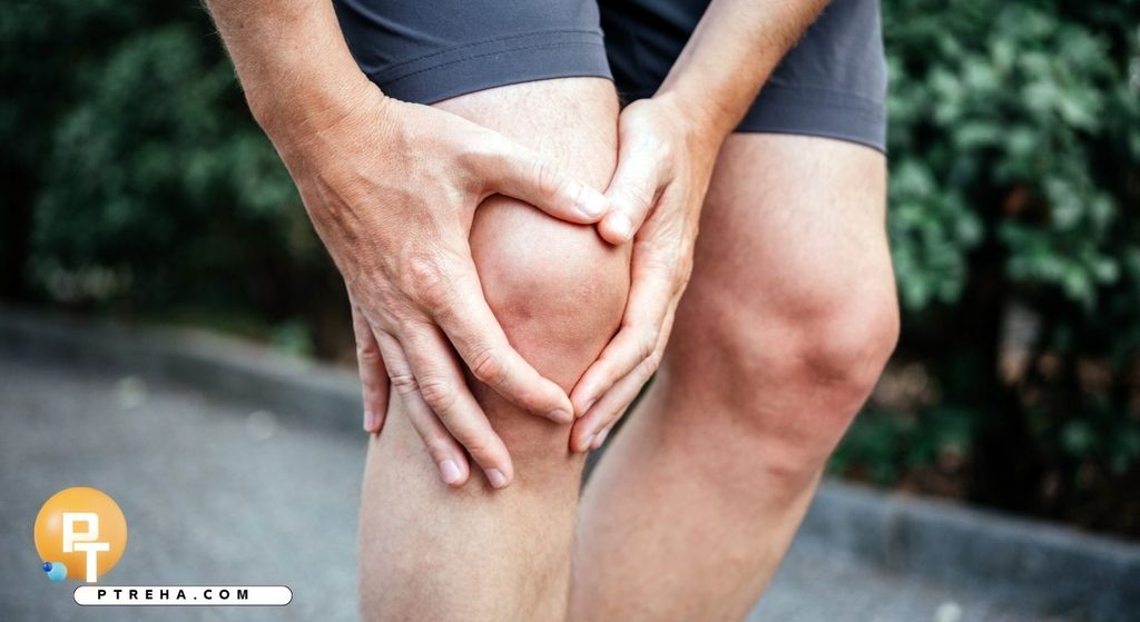 Meniscus Meniscus